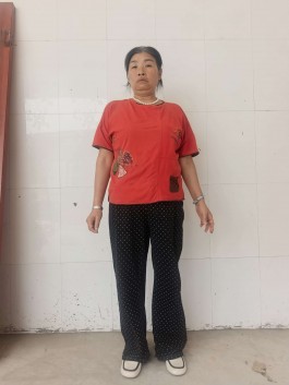 寻亲：娄琴