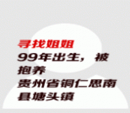 失踪人员：寻找姐姐